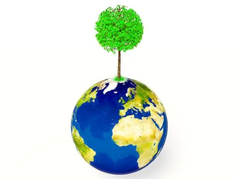 Tree Stock Illustration