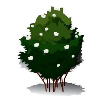 Tree Stock Illustration