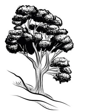 Tree Illustrazione stock