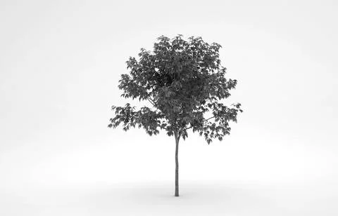 Tree Illustrazione stock
