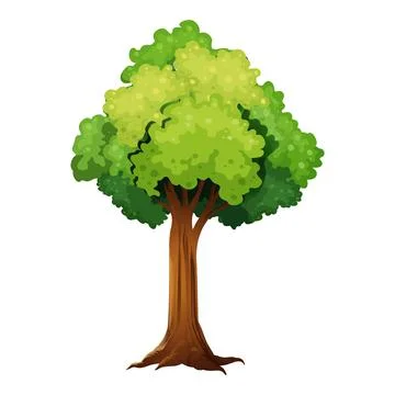 Tree Stock Illustration
