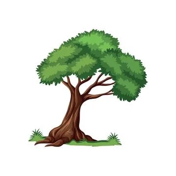 Tree Illustration with green leaf and grass Stock Illustration
