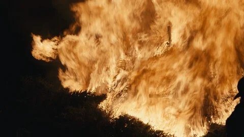 Tree Inferno Closeup Vidéo 100939213