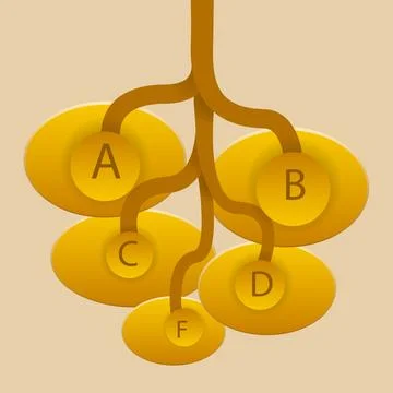 Tree info graphic background elements Stock Illustration