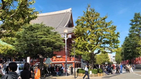 The tree infront of the Senso-ji Temple in Tokyo Japan Stock Footage 121389868
