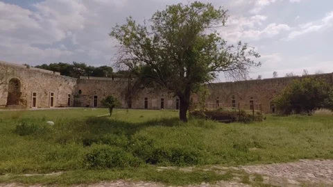 Tree inside castle 스톡 동영상 106343805