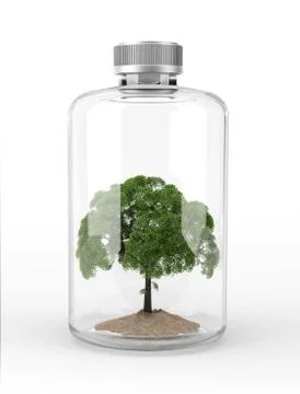 Tree inside a glass bottle. Stock Illustration