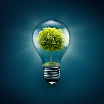 Tree inside light bulb Illustrazione stock