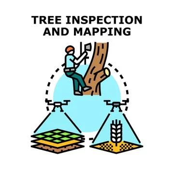 Tree inspection and mapping with modern technology and drones 库存插图