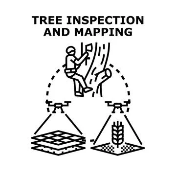 Tree inspection and mapping with modern technology and drones Stock Illustration