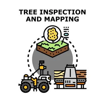 Tree inspection mapping and timber processing concept Stock Illustration