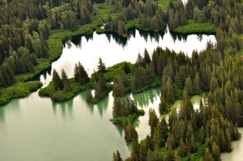 Tree island background 写真素材