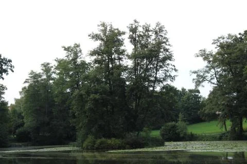 Tree Island. Stock Photos