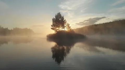 Tree on the island in the sunrise Stock Footage 140575634