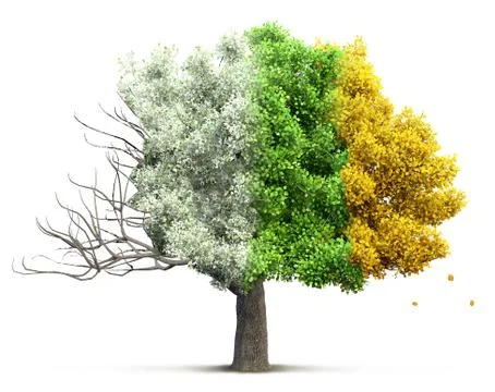 Tree isolated 3D illustration Stock Photos