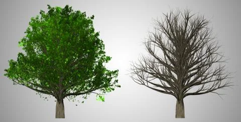 Tree isolated on abstract background, 3D Illustration Stock Illustration