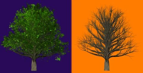 Tree isolated on abstract background, 3D Illustration Stock Illustration