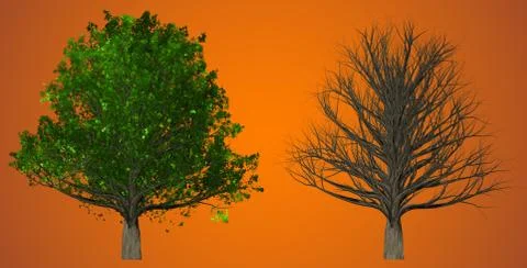 Tree isolated on abstract background, 3D Illustration Stock Illustration