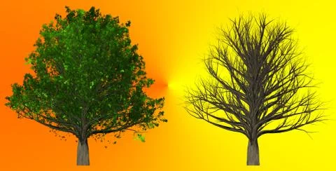 Tree isolated on abstract background, 3D Illustration Stock Illustration