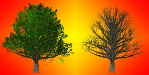 Tree isolated on abstract background, 3D Illustration Stock Illustration