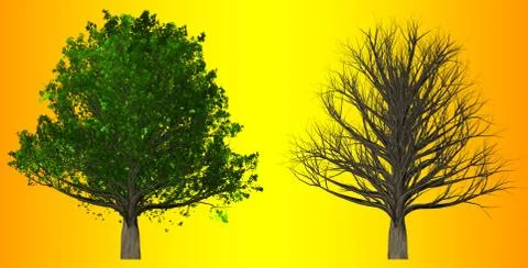 Tree isolated on abstract background, 3D Illustration Stock Illustration