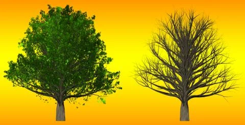 Tree isolated on abstract background, 3D Illustration Stock Illustration