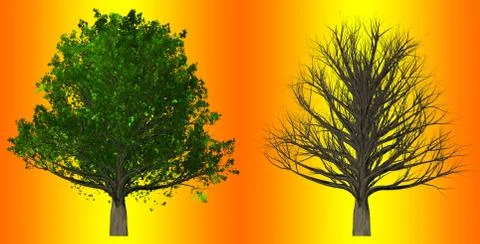 Tree isolated on abstract background, 3D Illustration Stock Illustration