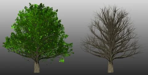 Tree isolated on abstract background, 3D Illustration Stock Illustration