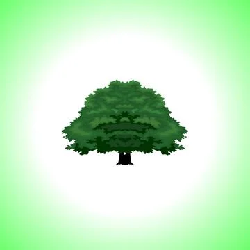Tree isolated illustration Stock Illustration