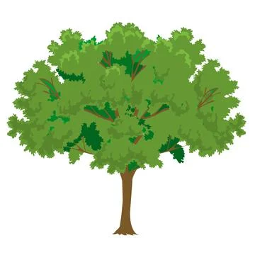 Tree isolated illustration Illustrazione stock