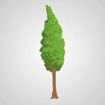 Tree isolated illustration Illustrazione stock