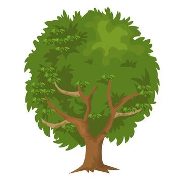 Tree isolated illustration Stock Illustration