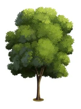 Tree isolated on white background Stock Illustration