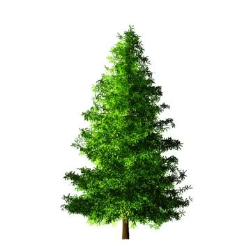 Tree isolated on white background Stock Illustration