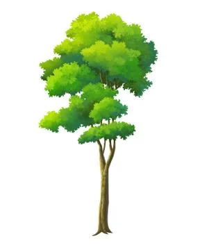 Tree isolated on white background Stock Illustration