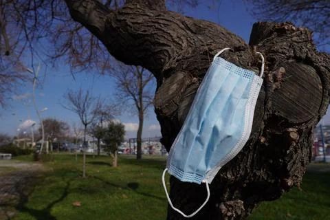 The Tree, Its Trunk and Mask Stock Photos