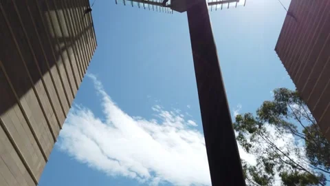 Tree of Knowledge architectural structure of The John Niland Scientia Building Stock Footage 258556949