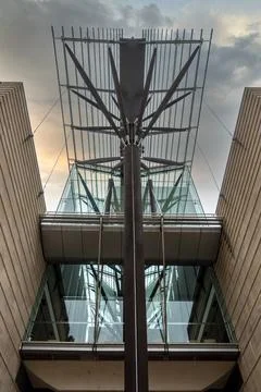 Tree of Knowledge architectural structure of The John Niland Scientia Blg Fotos de archivo