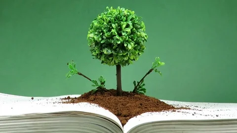 The tree of knowledge Video stock 76345385