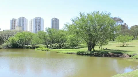 Tree, lake and buildings at Botanical Garden in Curitiba, Brazil. Stock Footage 20273708