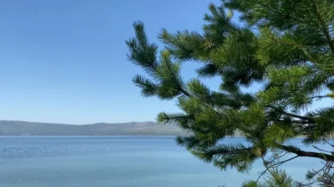 Tree, lake and mountains Stock Footage 130140487