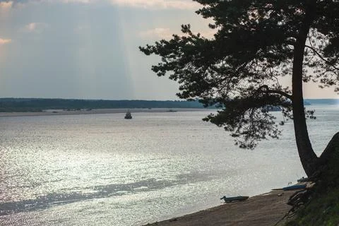 A tree by the lake with a distant boat, under a cloudy sky Stock Photos