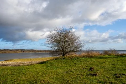 A tree by a lake with a dramatic sky in the background. Picture from Vomb Stock Photos