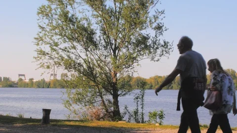 Tree by the lake with elderly people walking Stock Footage 88744932