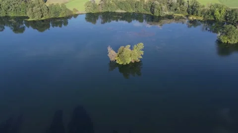 Tree on the Lake Stock-Footage 205807584
