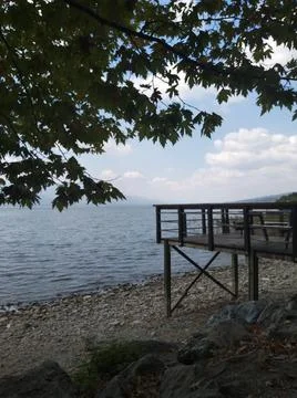 Tree by the lake Stock Photos