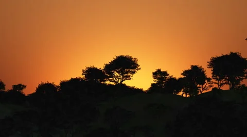 Tree - by lake reflection sunrise zoom out 스톡 동영상 2083482