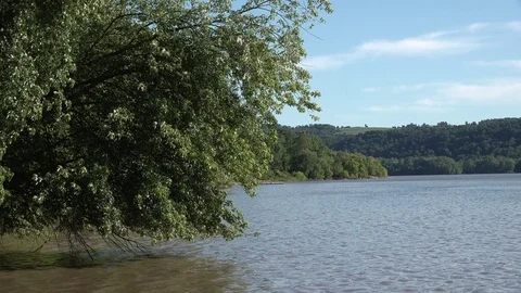 Tree By Lake Summer Day Stock Footage 111397854
