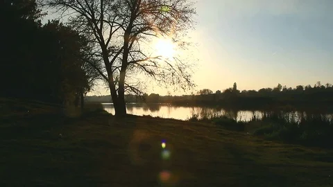 Tree on a lake sunset Stock Footage 69834645