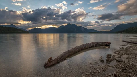 Tree in Lake time lapse Видео 138319201